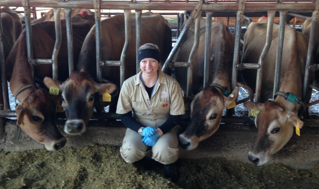 michelle with cows 2