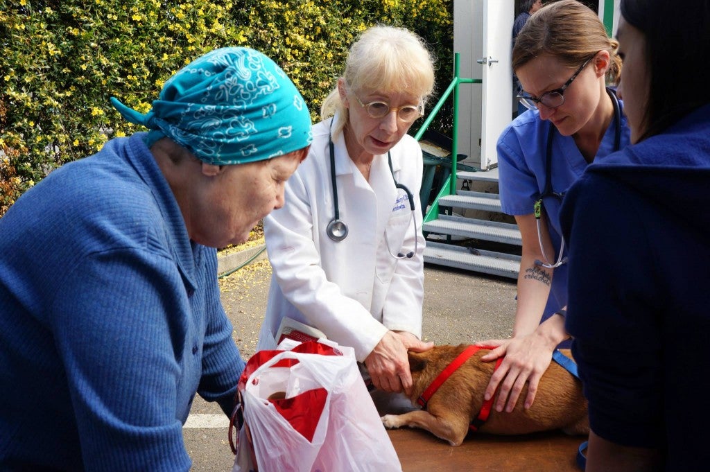 Mercer CEO Dr. Laurel Gershwin helping veterinary students perform exams and diagnose patients.