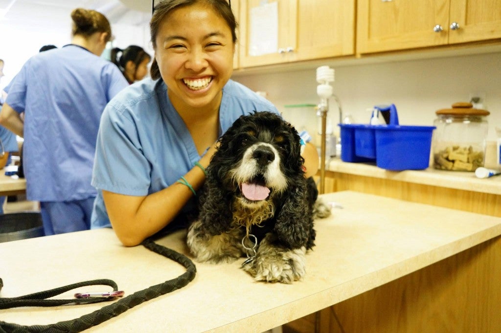 Veterinary student volunteer Sarah Gutierrez (Class of 2017) with one of her patients for the day.